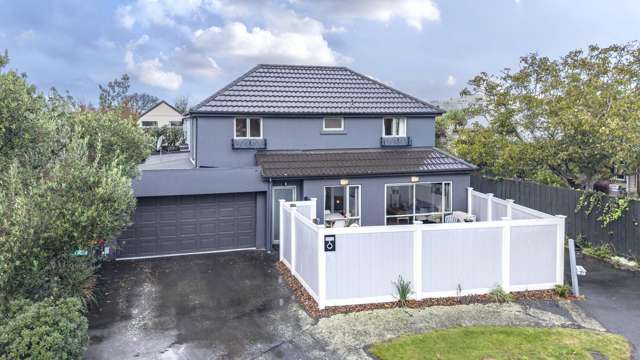 2 Antrim Street Sydenham_3