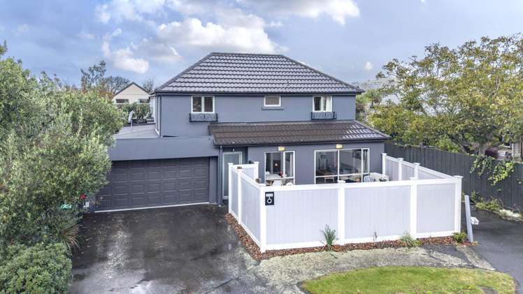 2 Antrim Street Sydenham_21