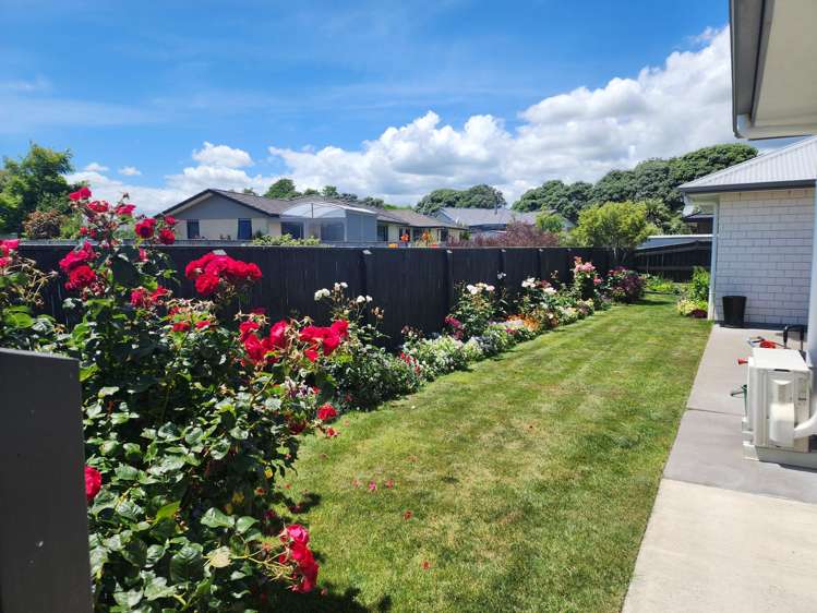 24 Barry Curtis Place_5