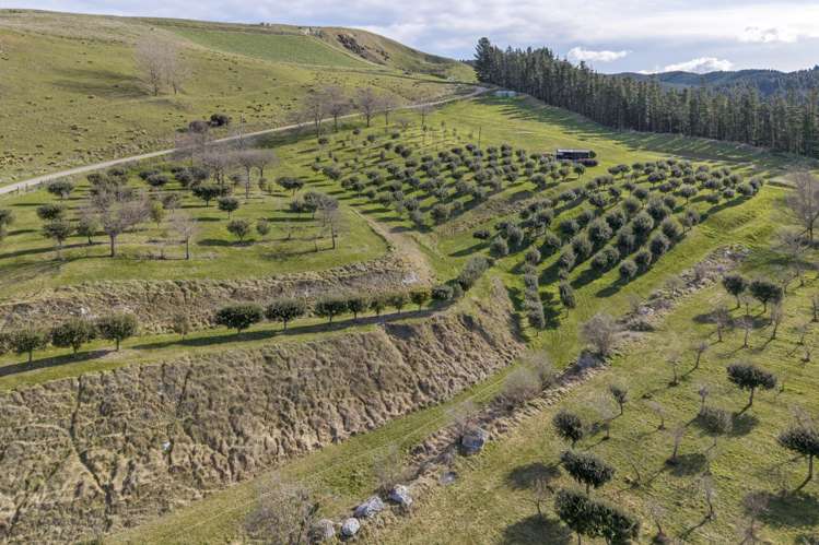 101 Laidmore Road Broomfield_1