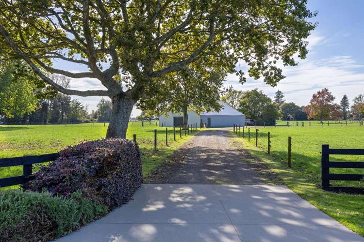 16 Mill Road Ohaupo_16