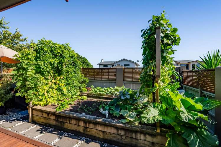 2 Parkvue Drive Bell Block_34