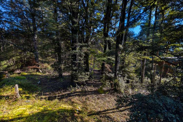 18 Baxter Street St Arnaud_15