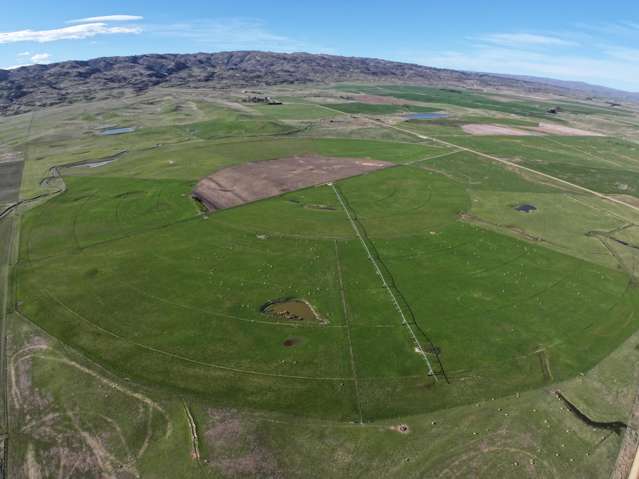 Exceptional Ida Valley Sheep and Beef Opportunity