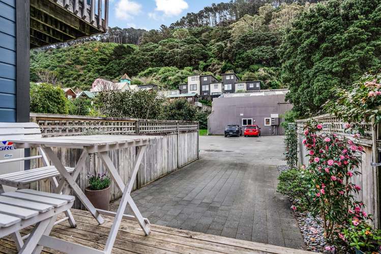 5/2 Malcolm Lane Thorndon_18