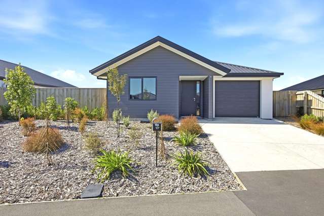 Modern. Low Maintenance. High Appeal