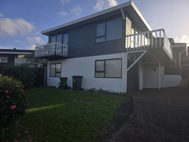 Stunning Family Home in Mount Roskill