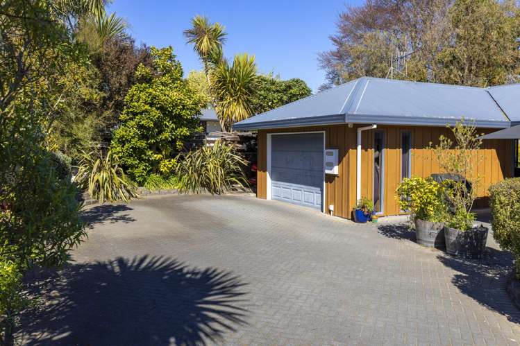 2/43 Kiwi Street Bird Area_21
