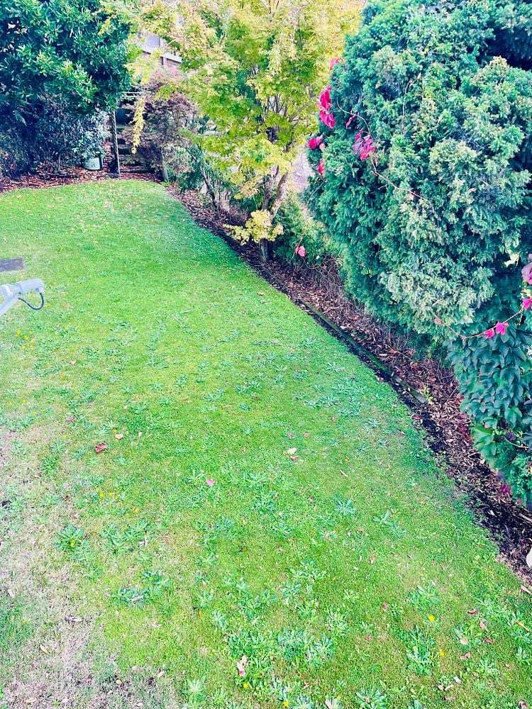 88 Carrington Street Lower Vogeltown_21