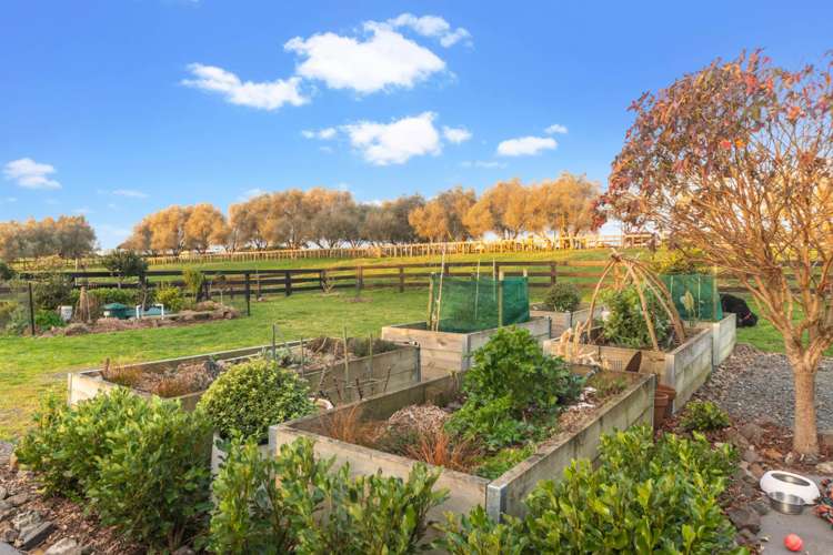 154 Charles Road Karaka_13