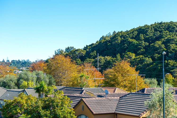 38 Villanova Place Albany_18