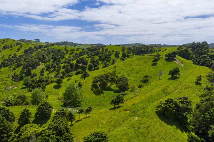 Te Akau Coast Road Te Akau_16