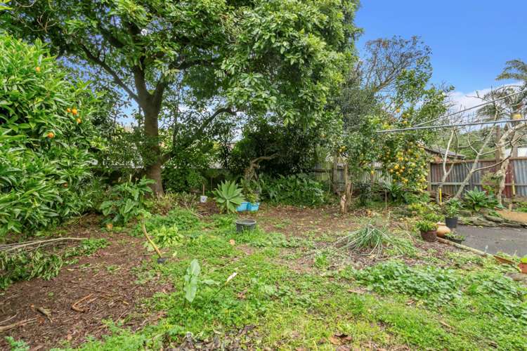 16 Sandringham Road Mount Eden_17