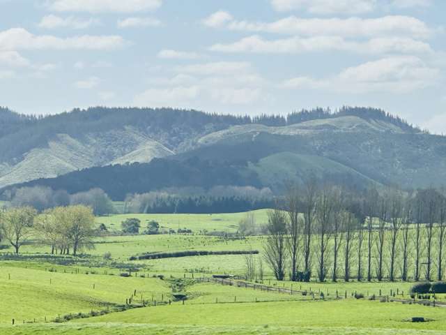 78B Falls Road Te Kauwhata_1