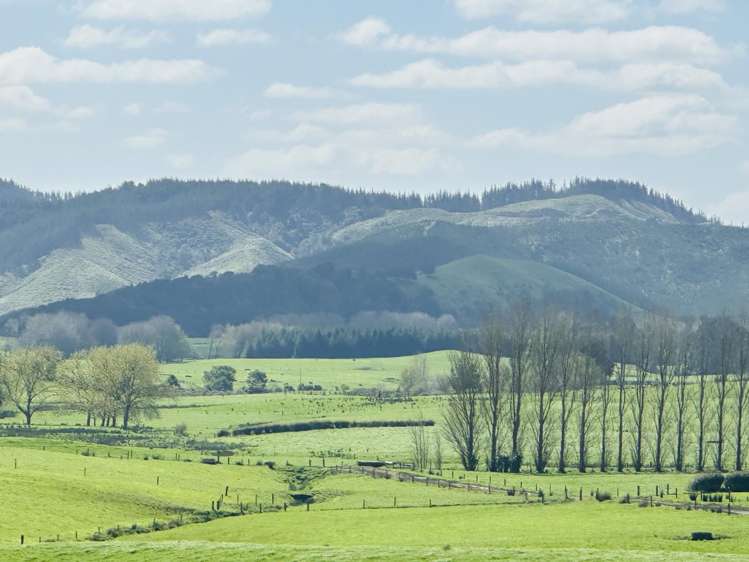 78B Falls Road Te Kauwhata_1