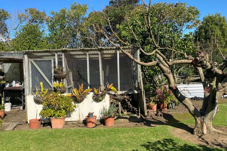 106 Bowen Place Thames_20