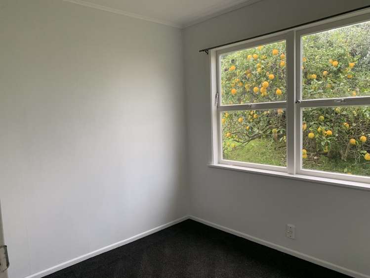 13 Mclennan Road Mount Wellington_12