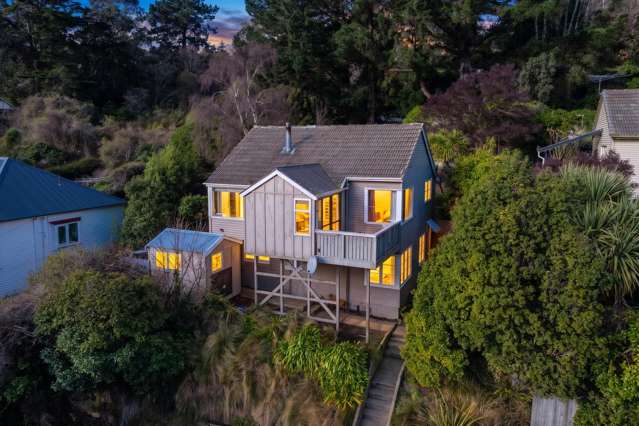 102 Somerville Street Andersons Bay_1