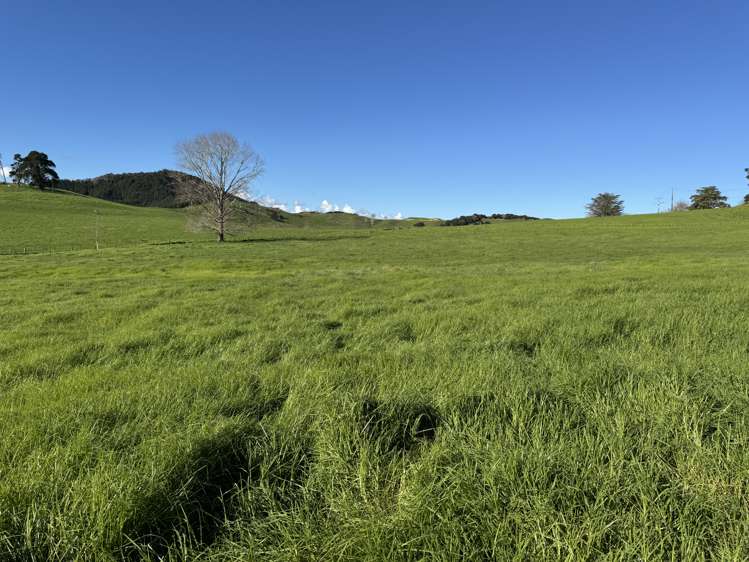 Lot 4 Greenhill Road_5
