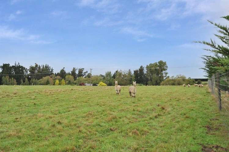 245 Beatties Road Ashley_30