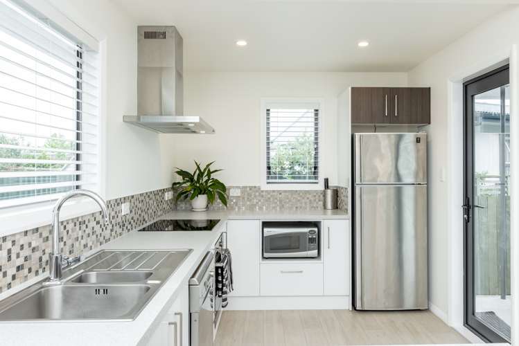 9 Bristol Street Tamatea_10