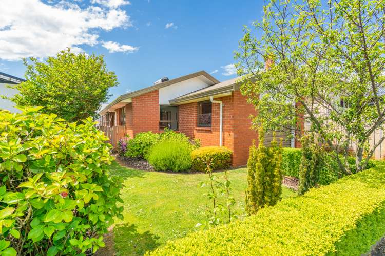 7 Arney Street South Dunedin_0