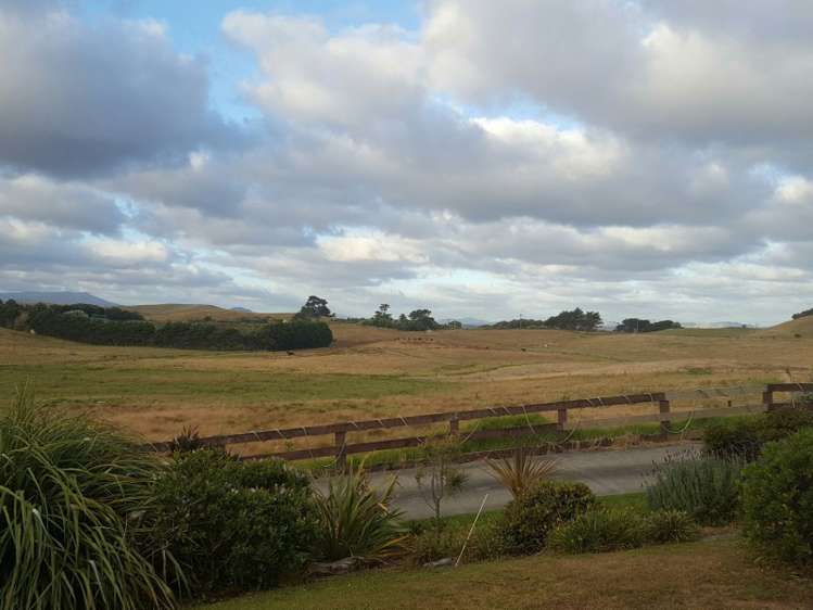 817 Baylys Coast Road Dargaville Surrounds_11