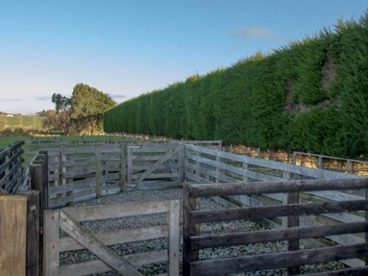 542 Flora East Makarewa_10