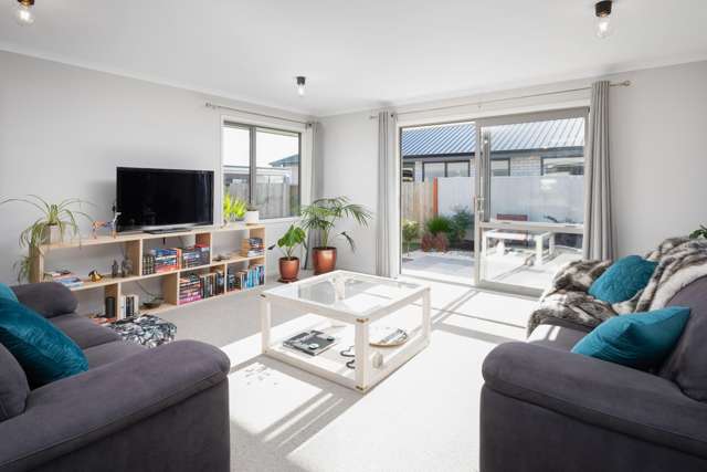 10 Mustang Alley Blenheim_1