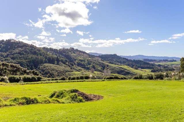 140 Waere Valley Lane Warkworth_4