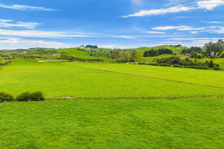 Omana Road Tangiteroria_7