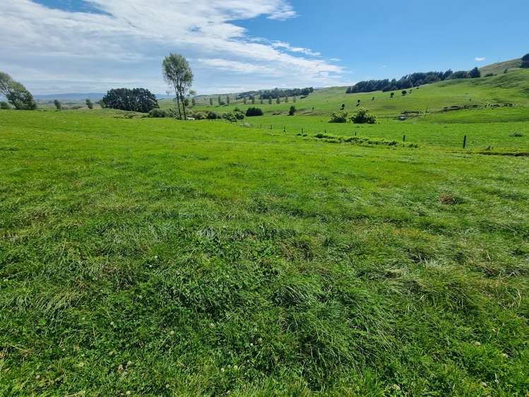 Paekaka Road Piopio_5