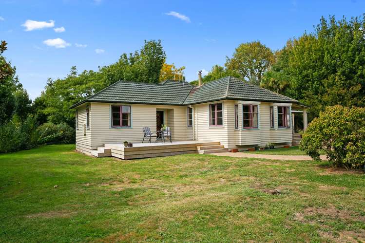 1447 Piakonui Road Richmond Downs_19