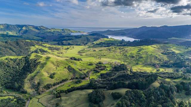 113 Puhata Road Herekino_4