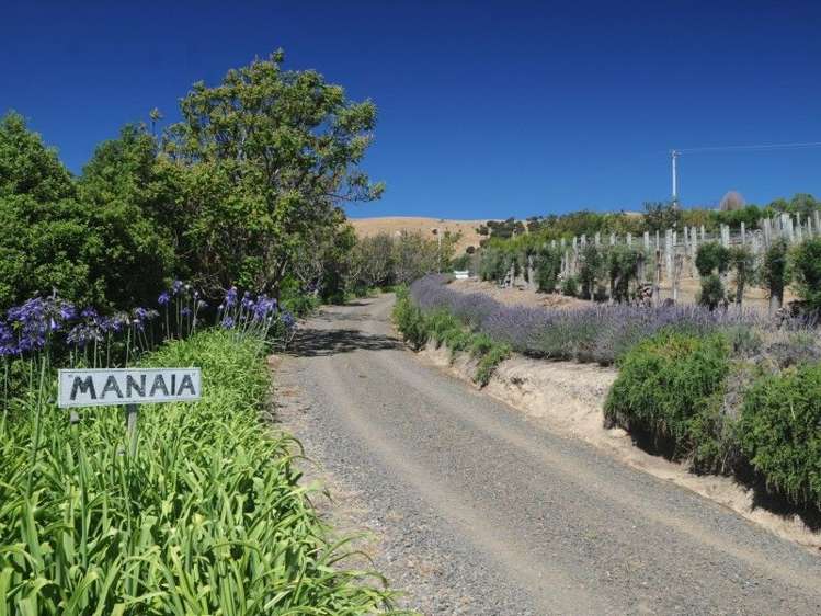 6489 Christchurch Akaroa Road Robinsons Bay_7