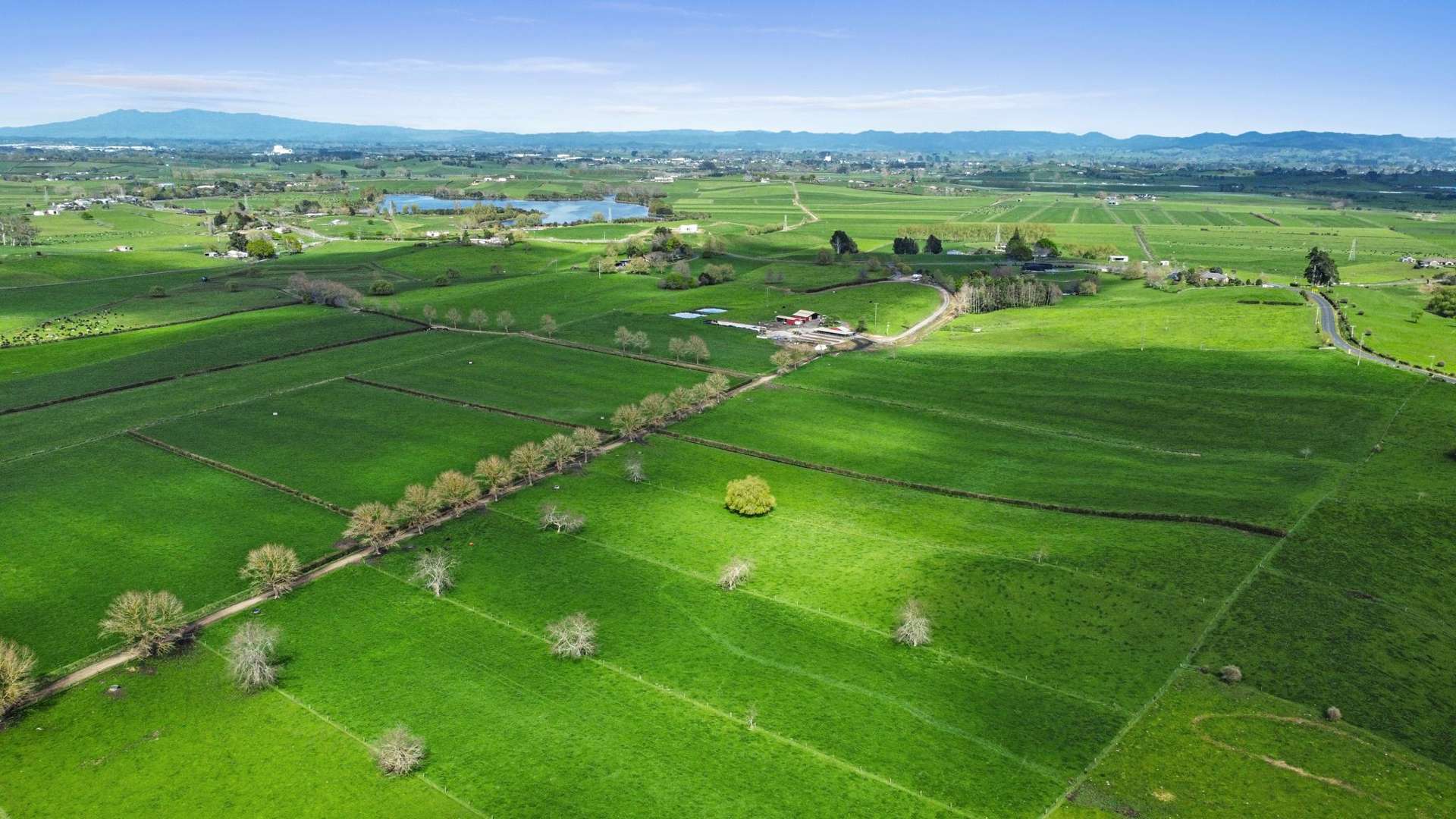 520 Lake Road Horsham Downs_0