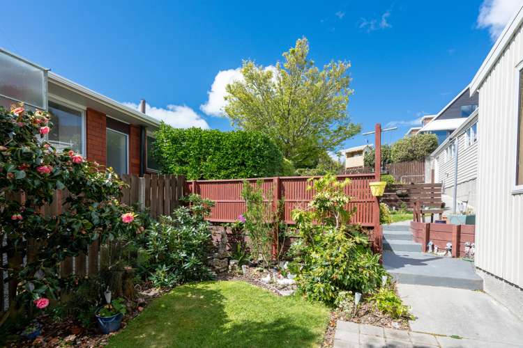 234 Cannon Hill Crescent Mount Pleasant_24