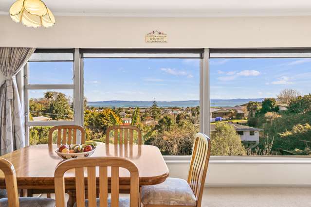 Sunny and Brick, be quick