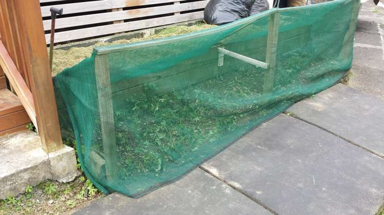 386 Panama Road Mount Wellington_9