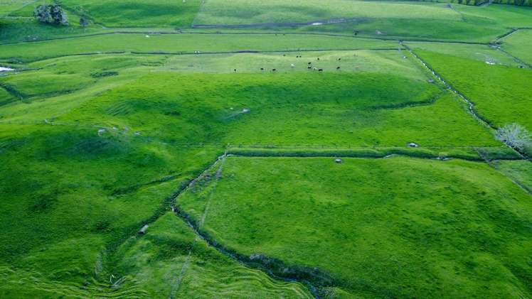 108 Range Road Kawakawa_11