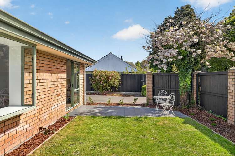 5 Nina Lane Somerfield_4