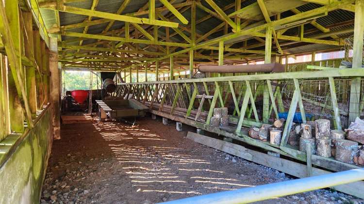 45 and 47 Windsor Road Inglewood_8