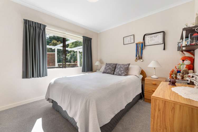 981 Roberts Line Bunnythorpe_14