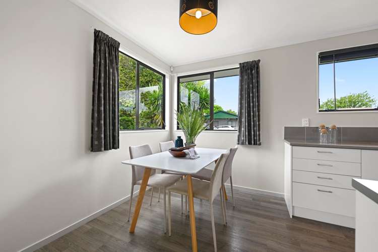 1c Windsor Road Maeroa_8