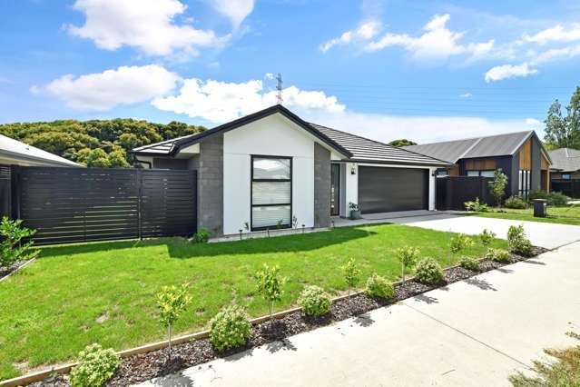 171 Adler Drive Ohauiti_1