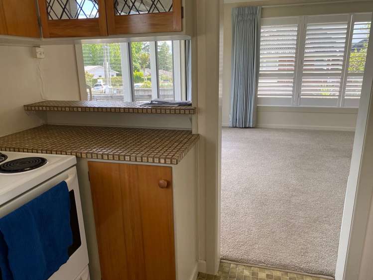 37A Sayegh Street St Heliers_6