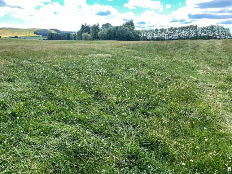 1177 Limehills Browns Road Winton Surrounds_11