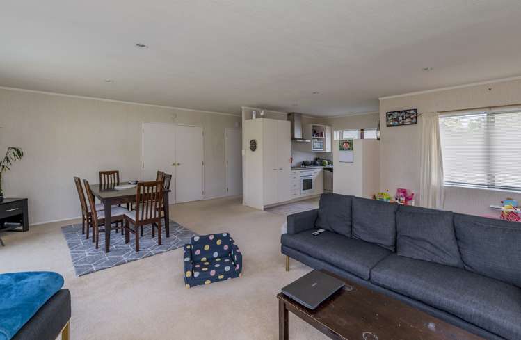5 Rosedale Place Levin_9