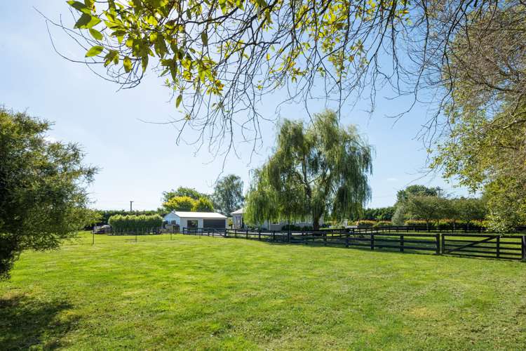 309a Hautapu Road Tamahere_7