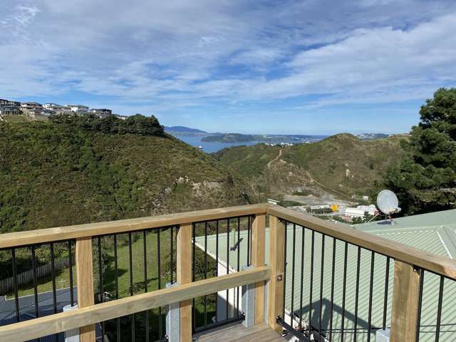 27 Kitchener Terrace Johnsonville_2